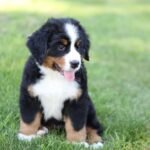 IMG_8629.JPG1752697841