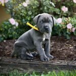 Photo Jul 10 2025, 4 19 40 PM.jpg1752533498-1201x1600 (1)