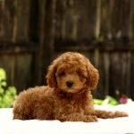 5530D556-2974-4F74-97D5-006067C45B4C.jpeg1753232650