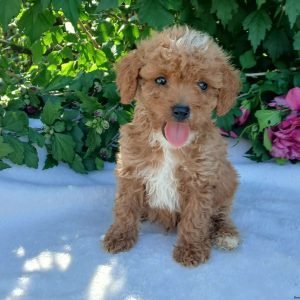 20250715_161435.jpg1752695496-1600x1344 (1)