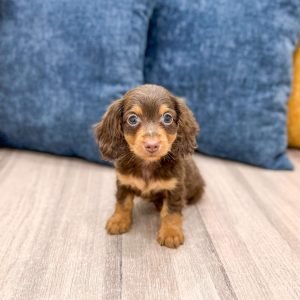 IMG_1395_jpg.JPG1752088943