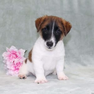 IMG_1637.JPG1747402794-1600x1361