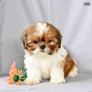 IMG_1774.jpeg1752582788