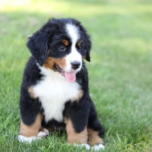 IMG_8629.JPG1752697841