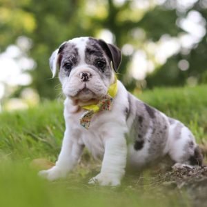 Rocket-1.jpg1752069752-1600x1204